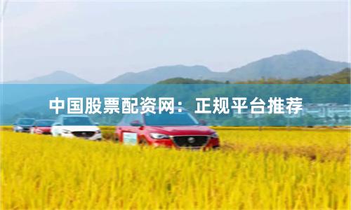 中国股票配资网：正规平台推荐