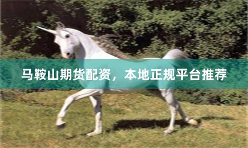 马鞍山期货配资，本地正规平台推荐