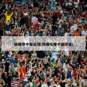 韩媒辱中国足球(韩媒吐槽中国球迷)